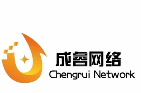 以技术为引擎，以服务为基石——庞燕与企业的网络技术服务之道
